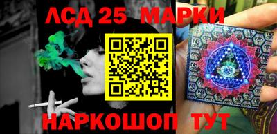 прущие грибы Славгород