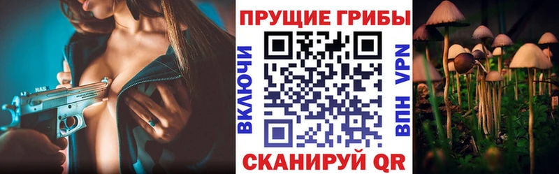 Псилоцибиновые грибы мухоморы  продажа наркотиков  Снежинск 