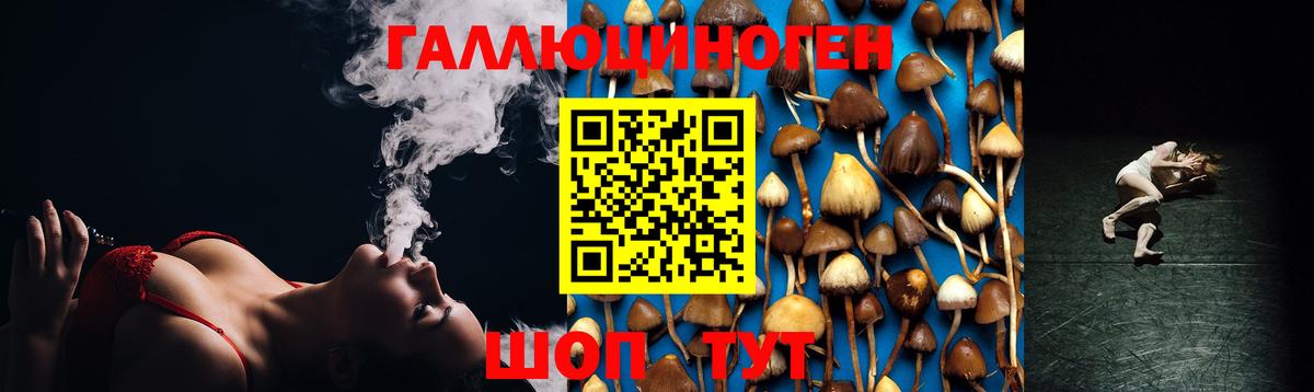 цена   Галлюциногенные грибы Magic Shrooms  Вход с VPN  Псилоцибиновые грибы GOLDEN TEACHER  Снежинск 